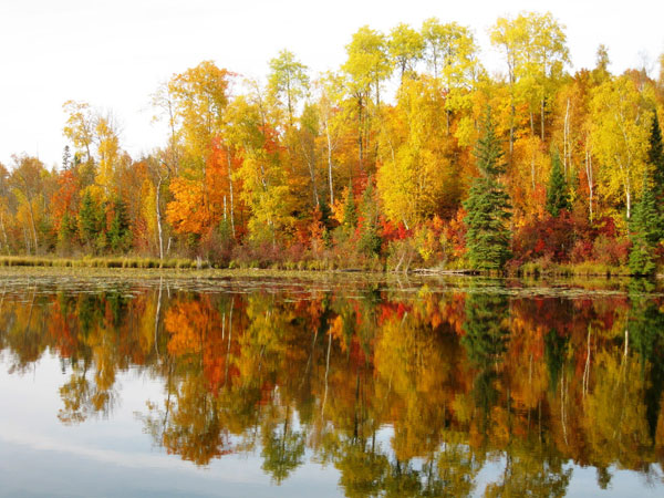 Jack The Horse Resort