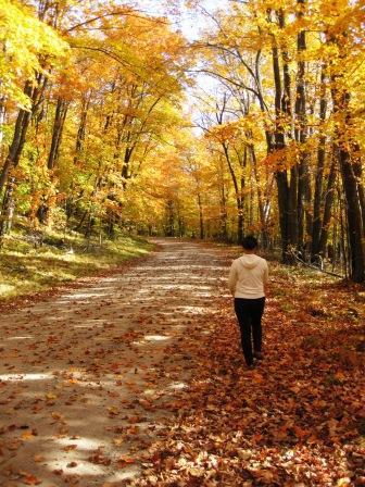 Jack The Horse Resort