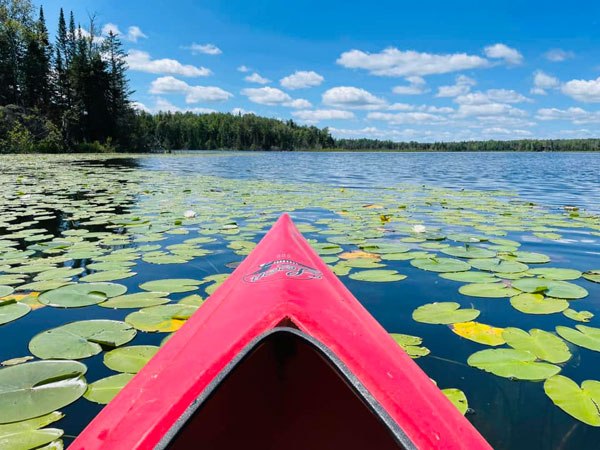 Jack The Horse Resort