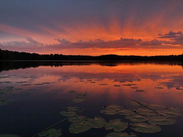 Jack The Horse Resort