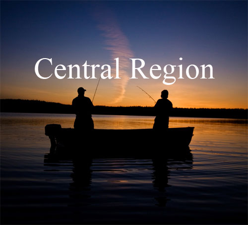 Central-Region-Button