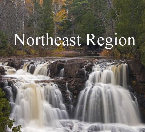 Northeast-Region-Button